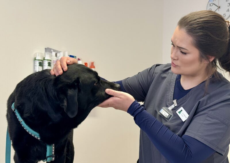 Bildschirmfoto 2026 03 15 um 15 11 11