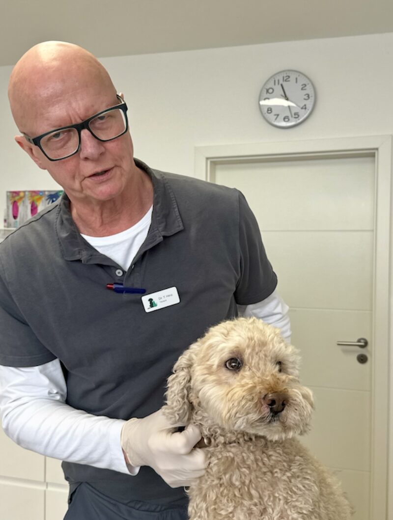 Bildschirmfoto 2026 03 15 um 15 11 52