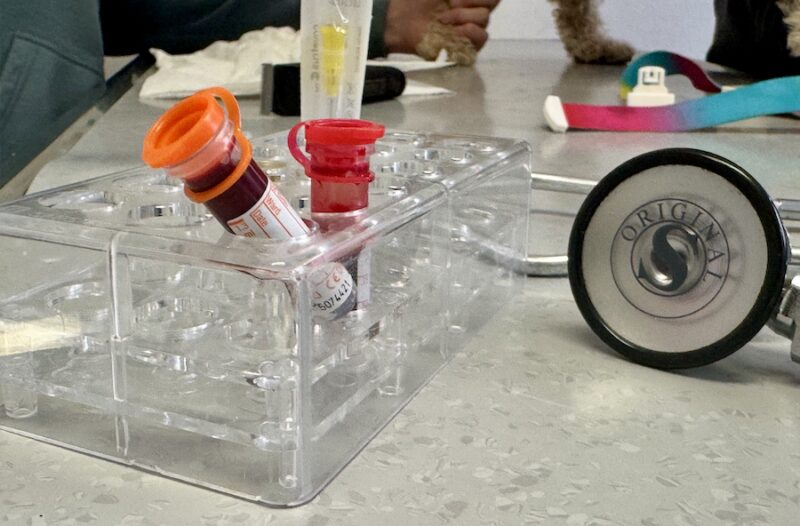 Bildschirmfoto 2026 03 15 um 15 12 34