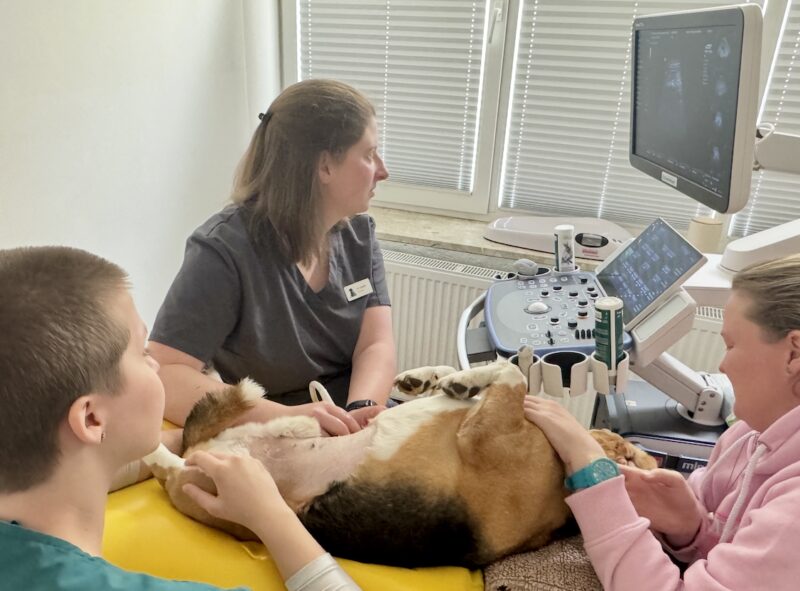 Bildschirmfoto 2026 03 15 um 15 14 14