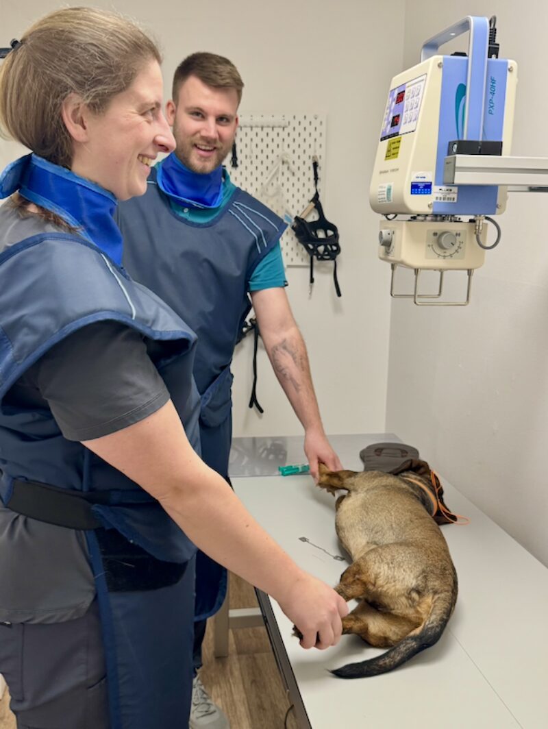 Bildschirmfoto 2026 03 15 um 15 20 52