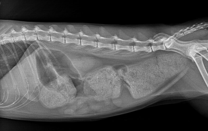 Bildschirmfoto 2026 03 15 um 16 08 22