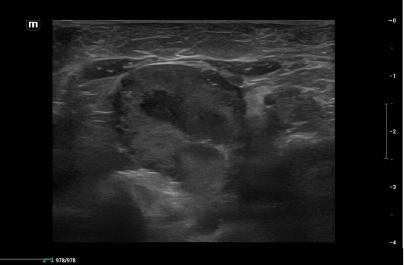 Bildschirmfoto 2026 03 15 um 16 09 15