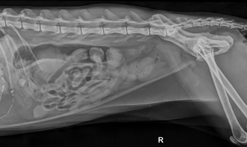 Bildschirmfoto 2026 03 15 um 16 10 51