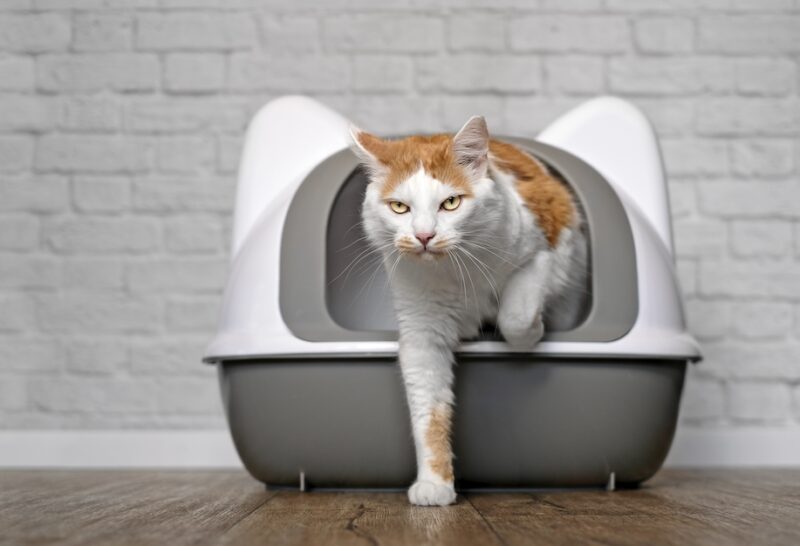 Bildschirmfoto 2026 03 15 um 16 35 25