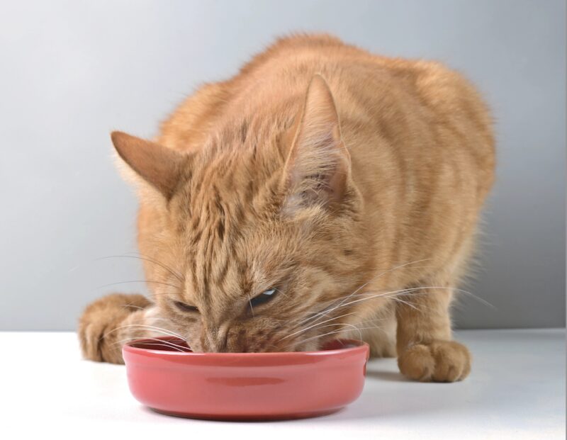 Bildschirmfoto 2026 03 15 um 16 42 19