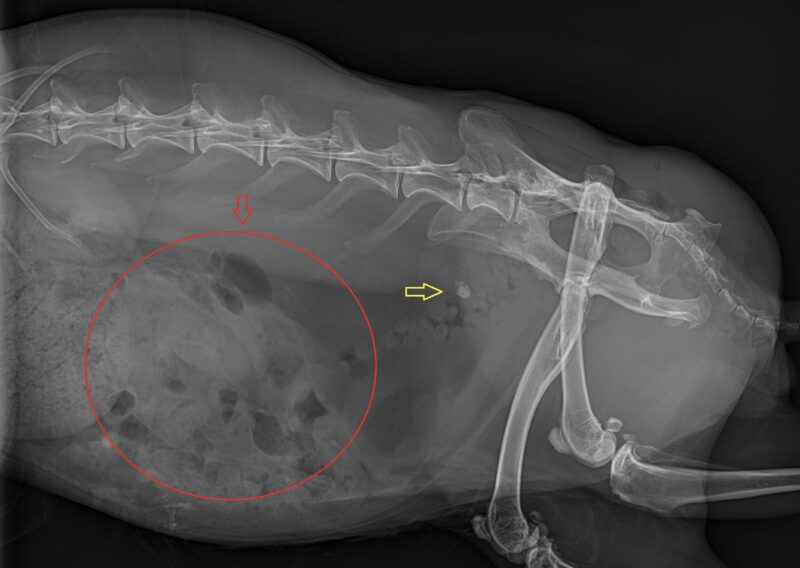 Bildschirmfoto 2026 03 15 um 17 08 24