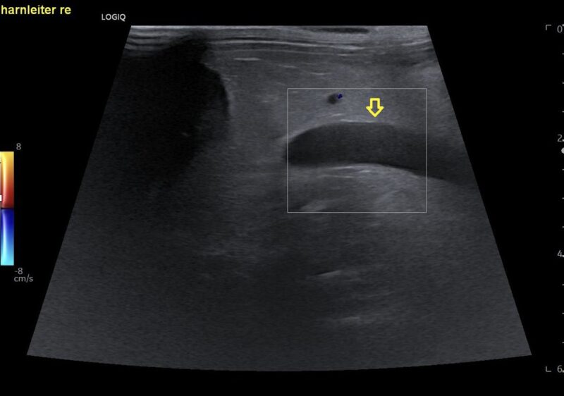 Bildschirmfoto 2026 03 15 um 17 09 53