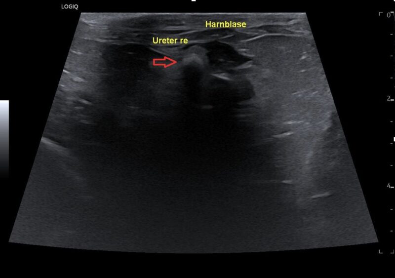 Bildschirmfoto 2026 03 15 um 17 10 28