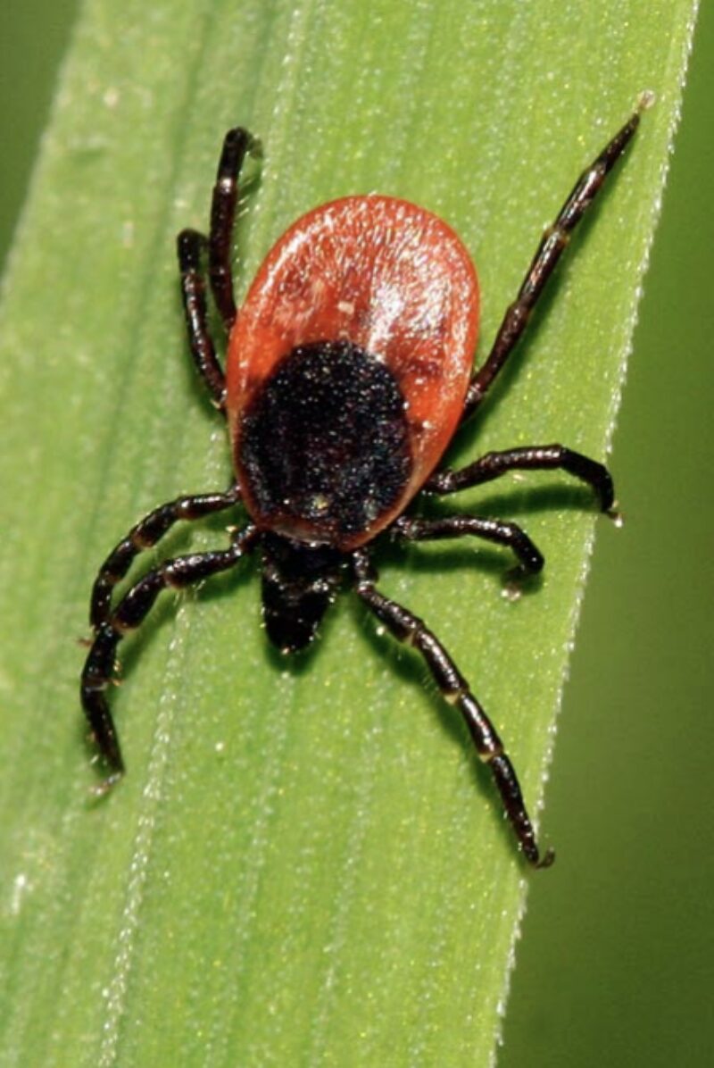 Bildschirmfoto 2026 03 16 um 10 18 20