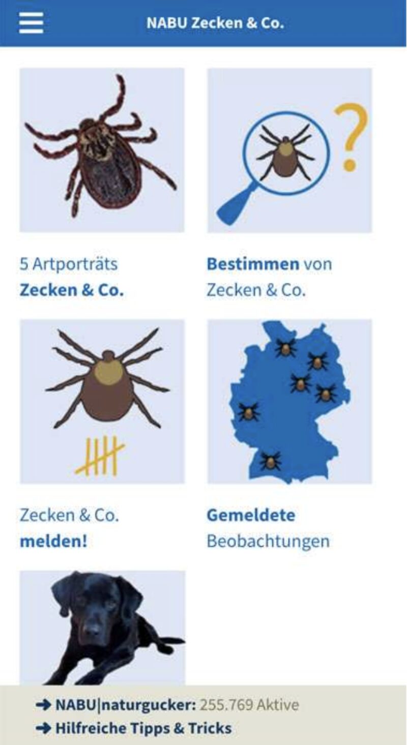 Bildschirmfoto 2026 03 16 um 10 25 34