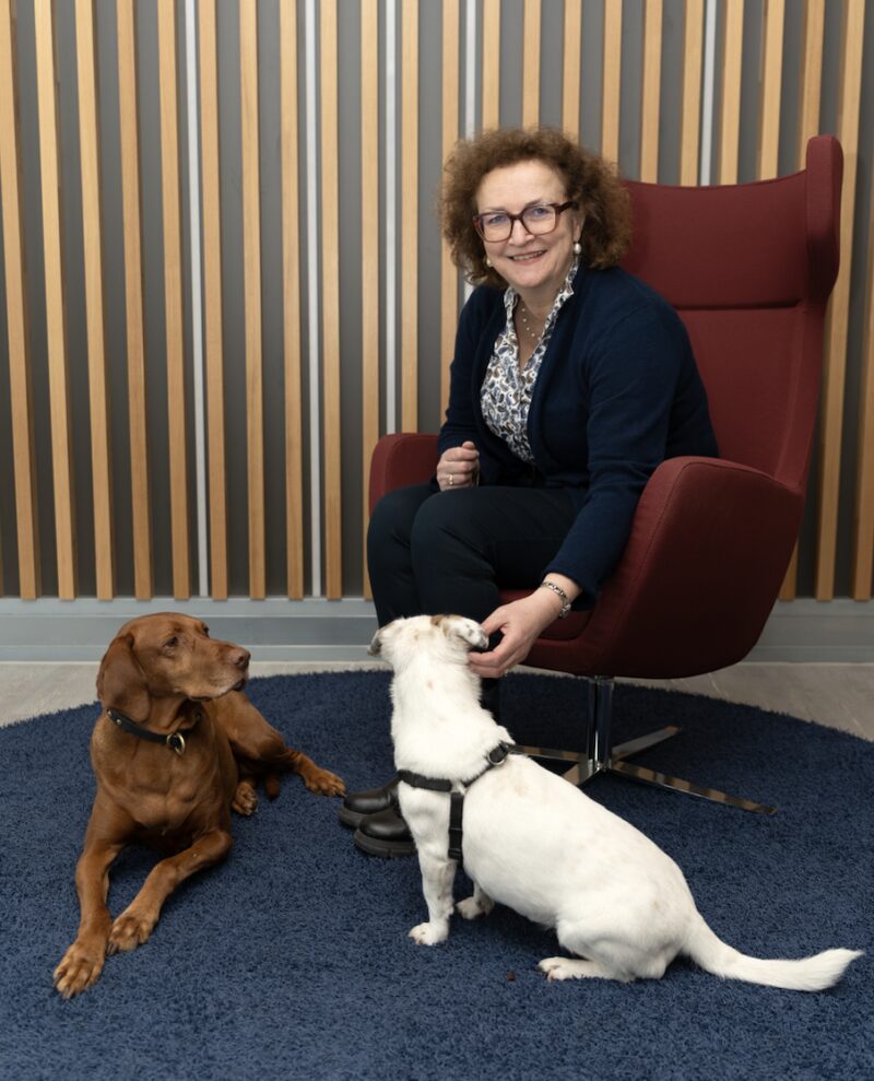 Bildschirmfoto 2026 03 16 um 16 16 06