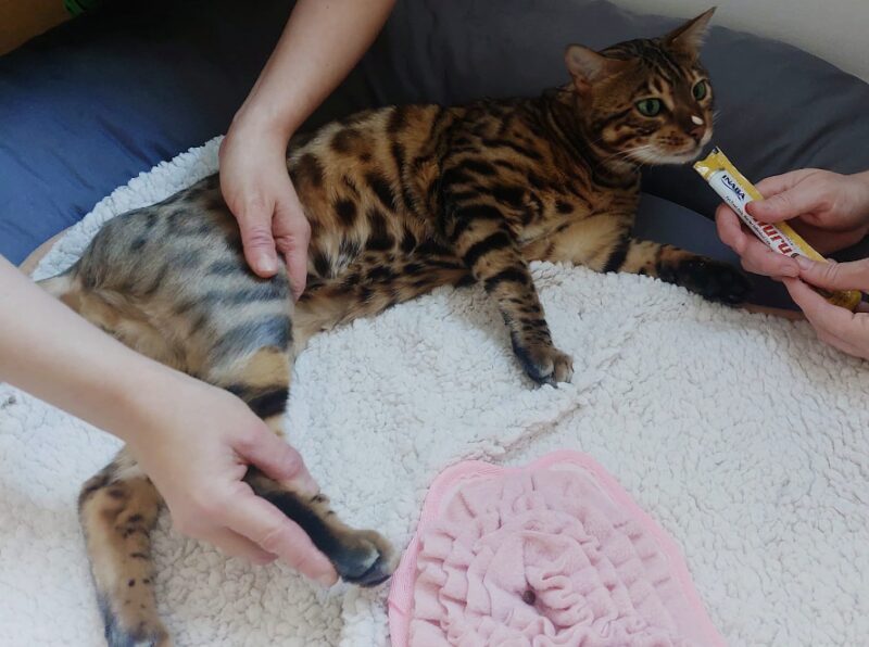 Bildschirmfoto 2026 03 17 um 16 41 31