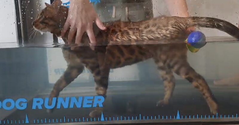 Bildschirmfoto 2026 03 17 um 16 55 12