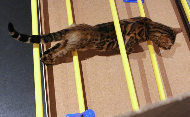 Bildschirmfoto 2026 03 17 um 16 56 11