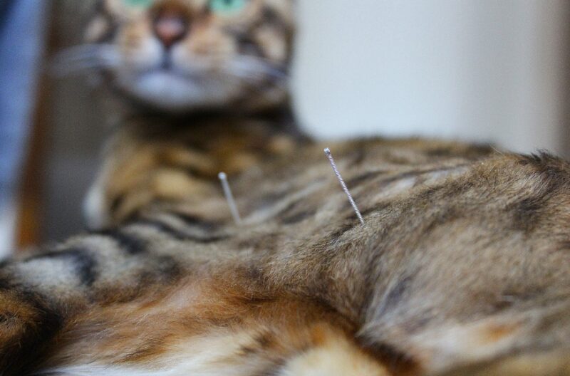 Bildschirmfoto 2026 03 17 um 16 57 09