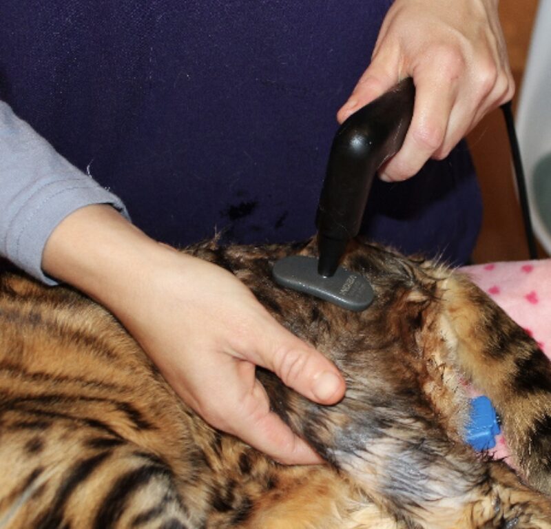 Bildschirmfoto 2026 03 17 um 16 58 18