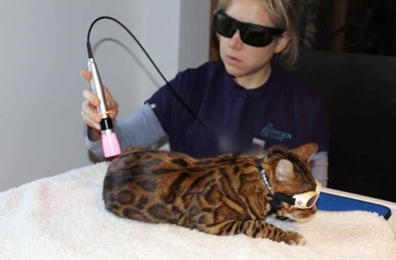 Bildschirmfoto 2026 03 18 um 09 56 07