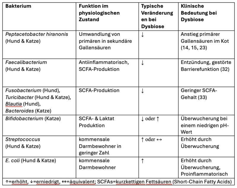 Bildschirmfoto 2026 03 18 um 14 51 33