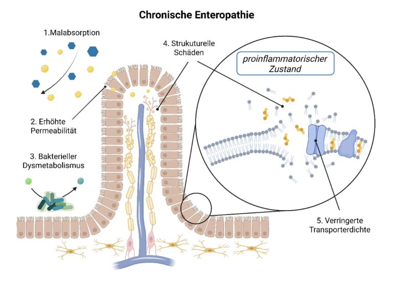 Bildschirmfoto 2026 03 18 um 14 54 07