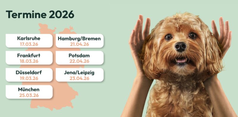 Bildschirmfoto 2026 03 18 um 15 50 32