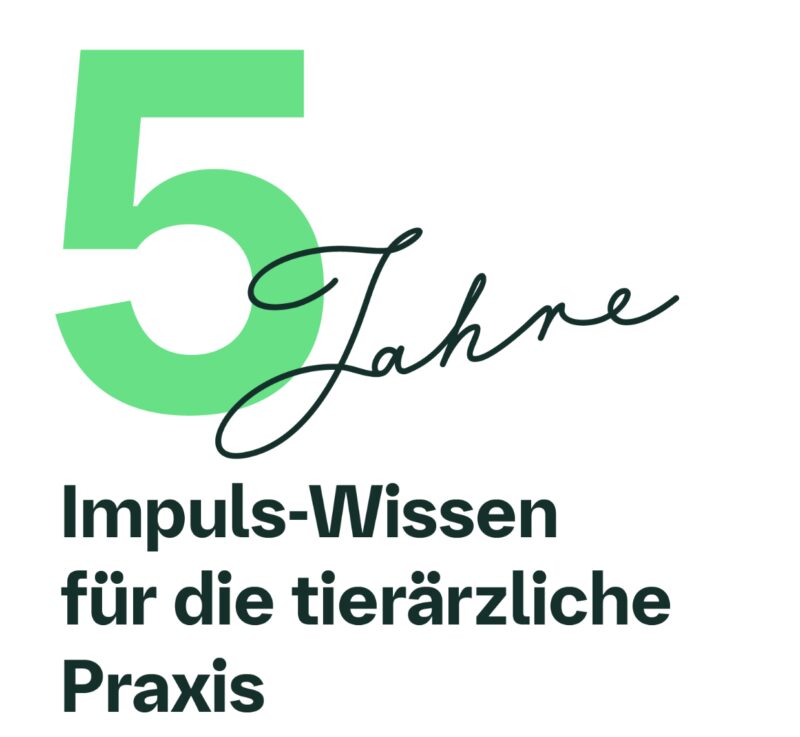 Bildschirmfoto 2026 03 19 um 09 38 09