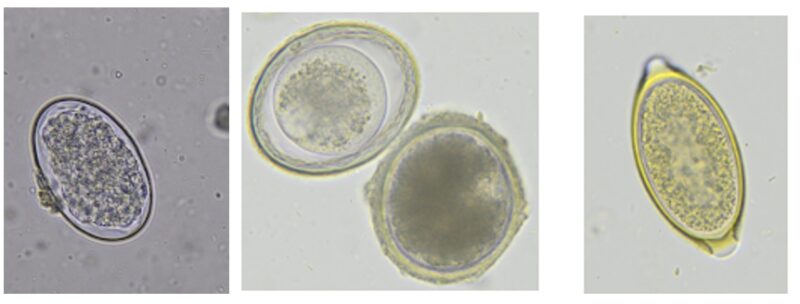 Bildschirmfoto 2026 03 20 um 16 40 13