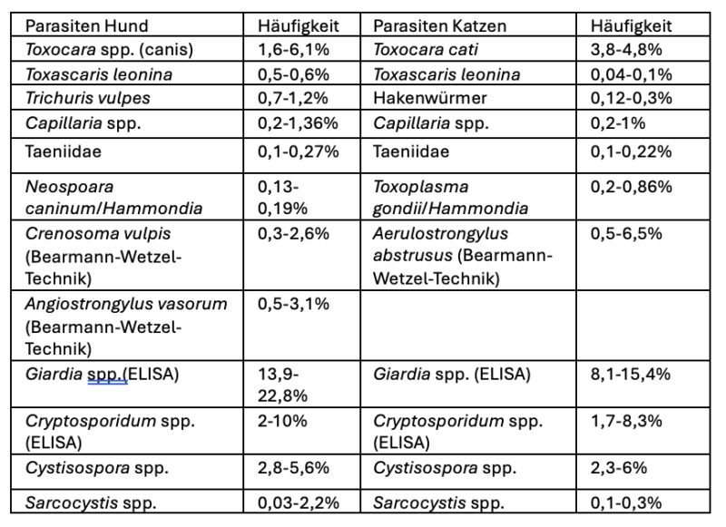 Bildschirmfoto 2026 03 20 um 16 42 20
