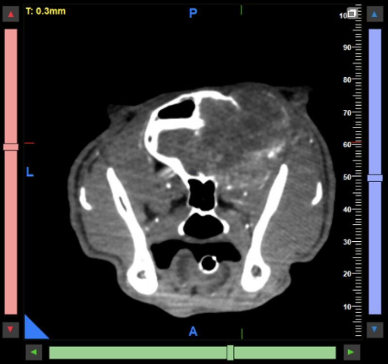 Bildschirmfoto 2026 03 20 um 17 15 59
