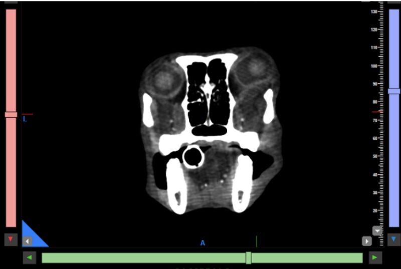Bildschirmfoto 2026 03 20 um 17 16 47