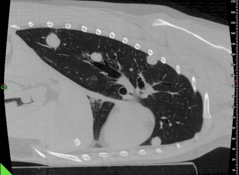 Bildschirmfoto 2026 03 20 um 17 18 58