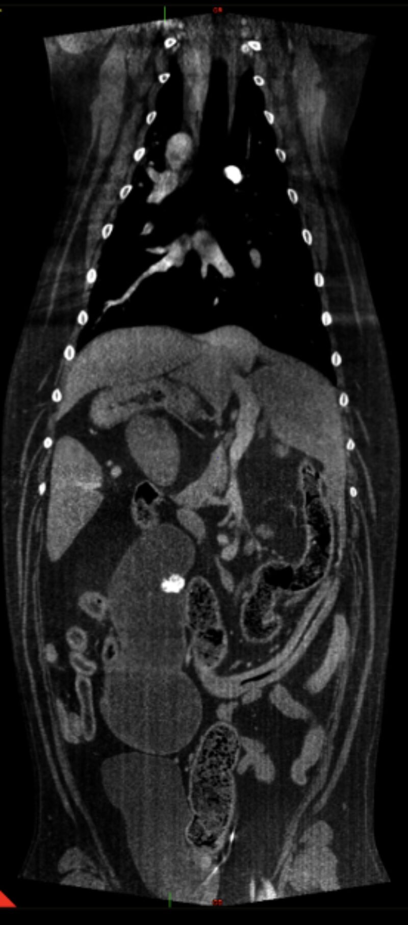 Bildschirmfoto 2026 03 20 um 17 22 28