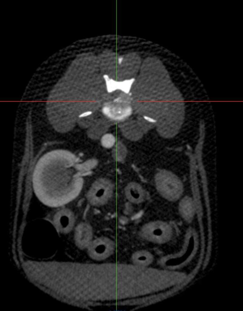 Bildschirmfoto 2026 03 20 um 17 28 10