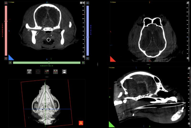Bildschirmfoto 2026 03 20 um 17 28 55