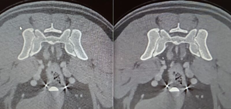 Bildschirmfoto 2026 03 20 um 17 31 18