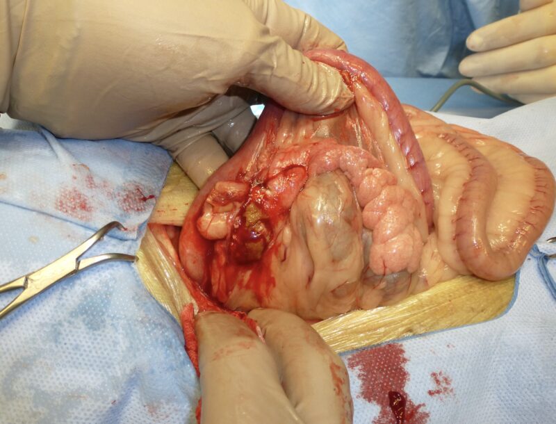 Bildschirmfoto 2026 03 20 um 17 41 35