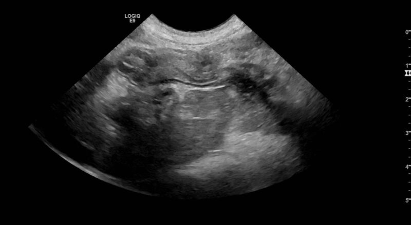 Bildschirmfoto 2026 03 20 um 17 44 10