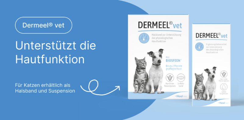 Bildschirmfoto 2026 03 21 um 15 07 41