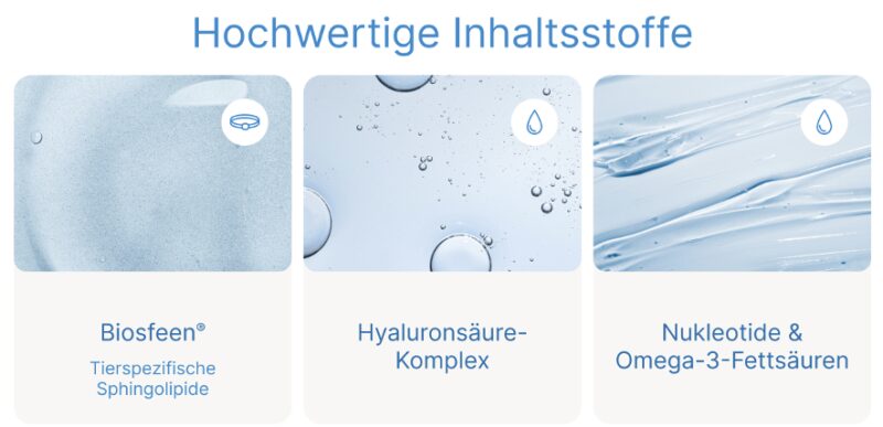 Bildschirmfoto 2026 03 21 um 15 09 14