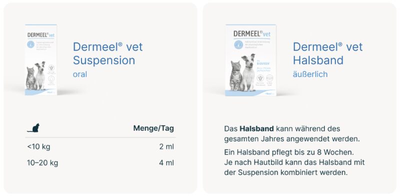 Bildschirmfoto 2026 03 21 um 15 10 20