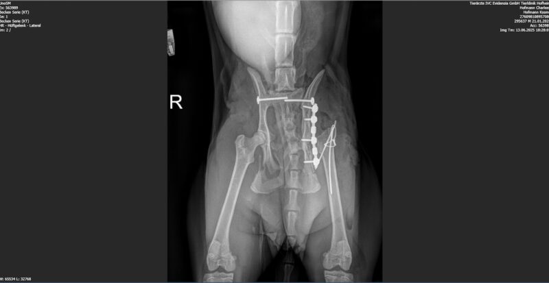 Bildschirmfoto 2026 03 24 um 18 05 59