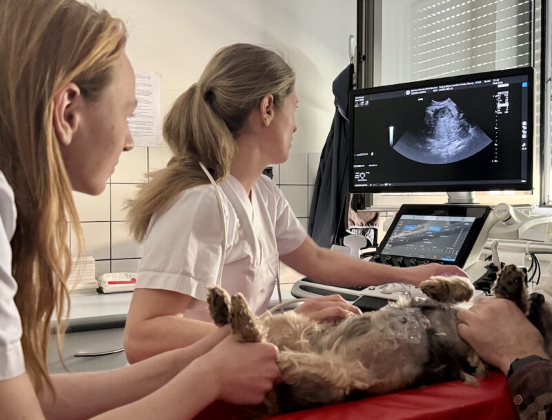 Bildschirmfoto 2026 03 25 um 07 19 20