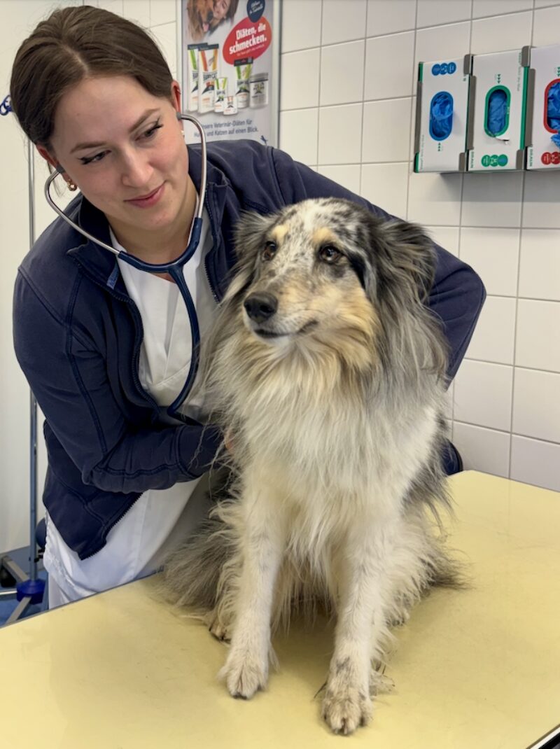 Bildschirmfoto 2026 03 25 um 07 21 03