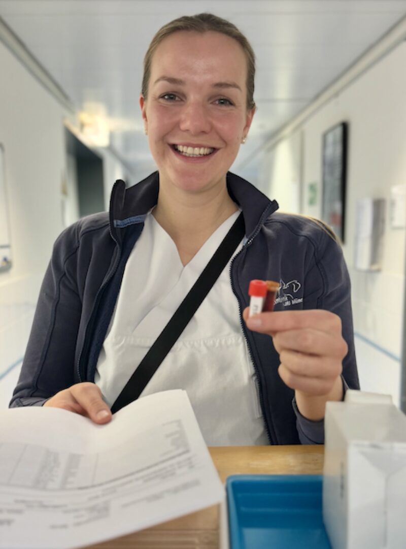 Bildschirmfoto 2026 03 25 um 07 23 41