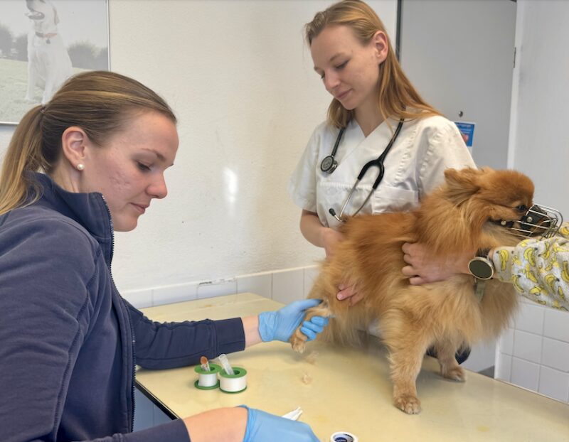 Bildschirmfoto 2026 03 25 um 07 31 39