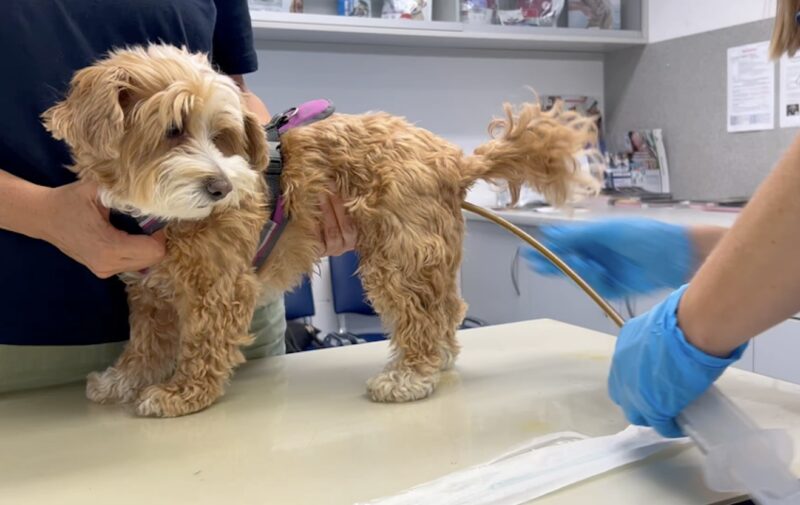 Bildschirmfoto 2026 03 25 um 07 33 56