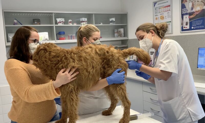 Bildschirmfoto 2026 03 25 um 07 35 27