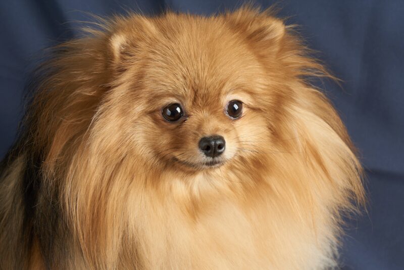 Bildschirmfoto 2026 03 27 um 09 23 01