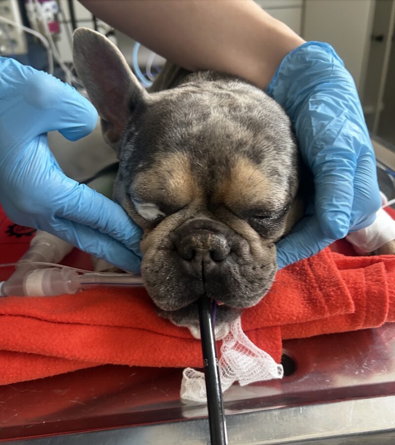 Bildschirmfoto 2026 03 27 um 09 22 32