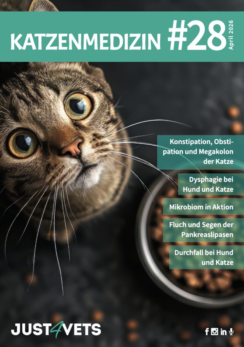 Bildschirmfoto 2026 03 30 um 15 39 35